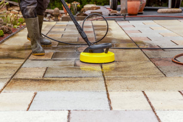 Best Roof Washing  in New Haven, WV